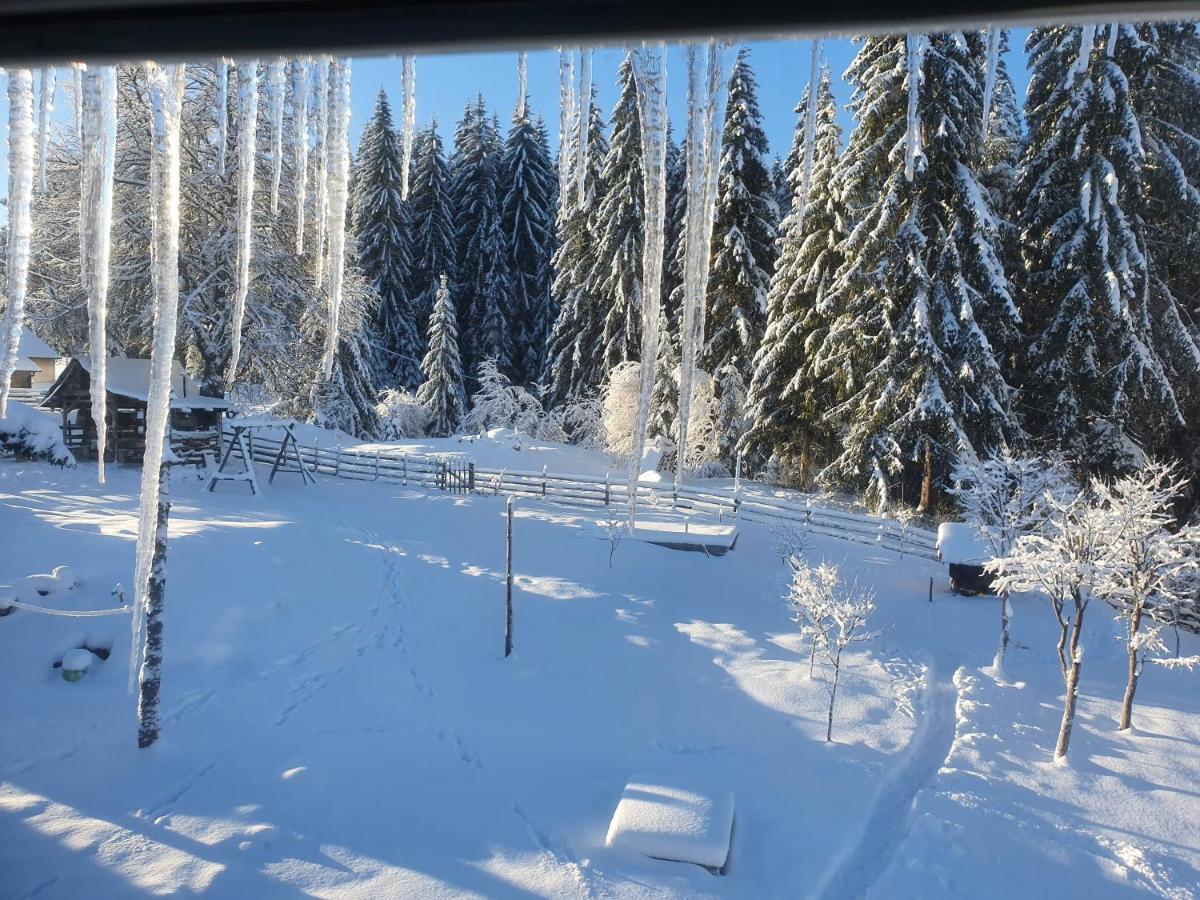 Planinska Koliba Ajdanovici Jelovac Nisicka Visoravan Olovo  Exterior foto
